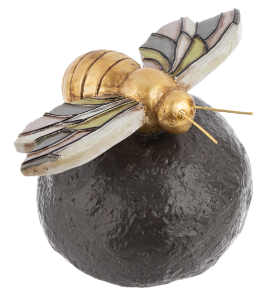 Insect on Garden Rocks