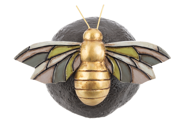 Insect on Garden Rocks