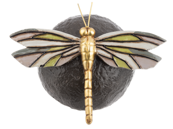 Insect on Garden Rocks