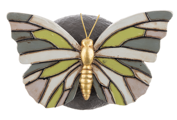 Insect on Garden Rocks