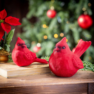 Holiday Poinsettia Flocked Cardinal Ceramic