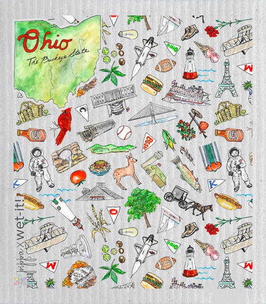Ohio Wet-it Swedish Dish Cloth x Pippa