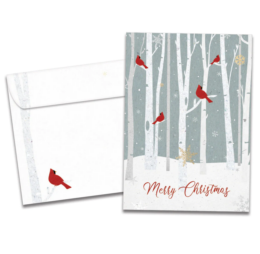 Christmas Cardinals Holiday Card