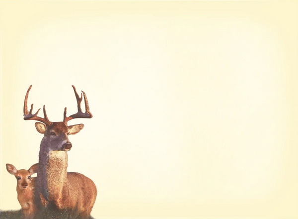 Deer Qualities Father's Day Card