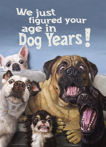 Dog Years Birthday Card