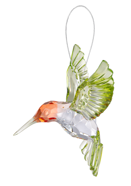 Red Throated Hummingbird