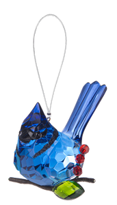 Elegant Berry Blue Jay