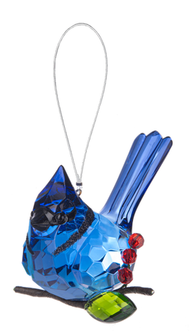 Elegant Berry Blue Jay