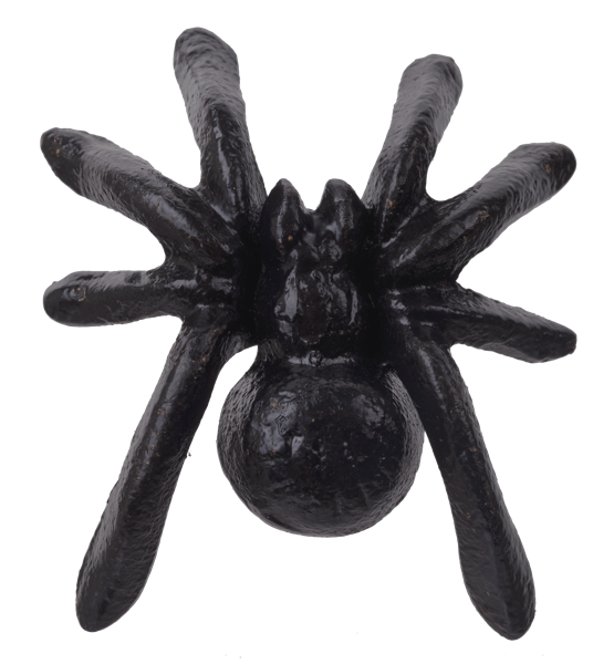 Small Cast Iron Spider