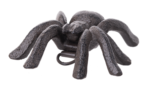 Small Cast Iron Spider