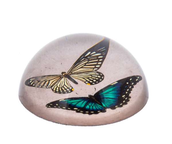 Butterfly Paperweight