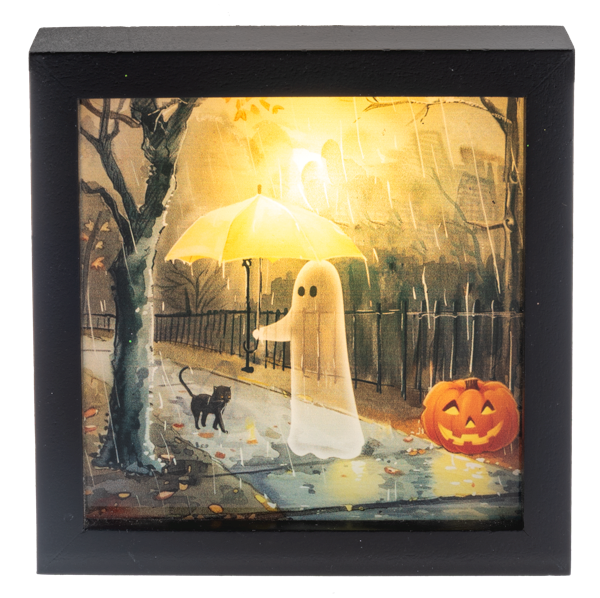 Light Up Shadow Boxes - Sm.