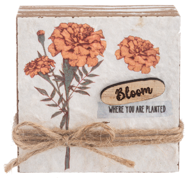 Floral Paper Block Talk with Jute Rope