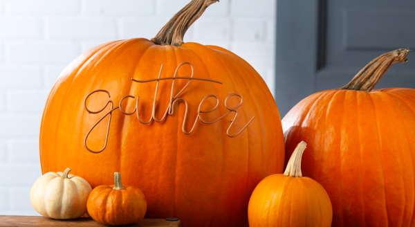 Script Stake Decor