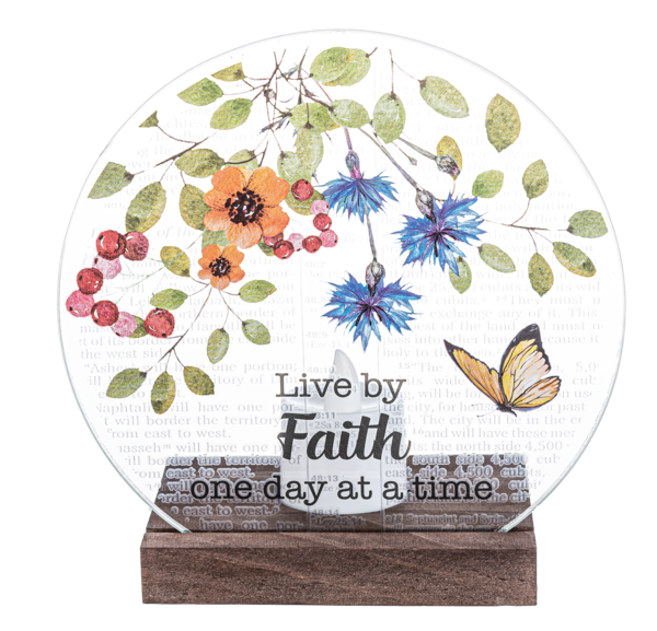 Beauty of the Bible Light Up Decor Signs