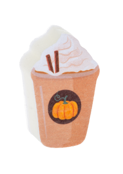 Pumpkin Tea Towel and Sponge Set