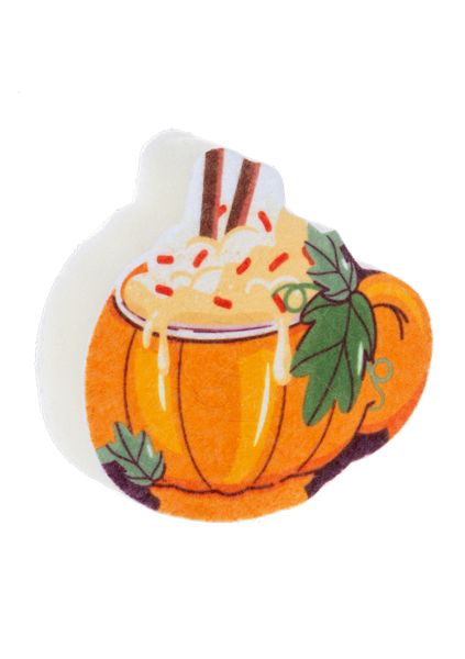 Pumpkin Tea Towel and Sponge Set
