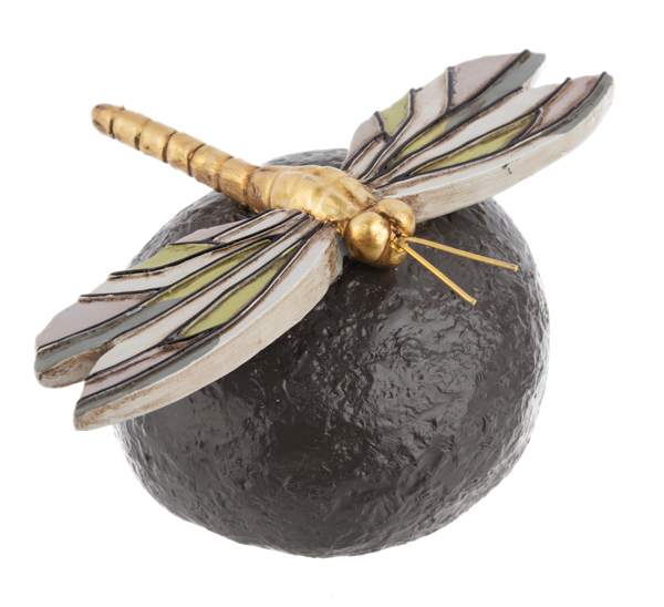 Insect on Garden Rocks