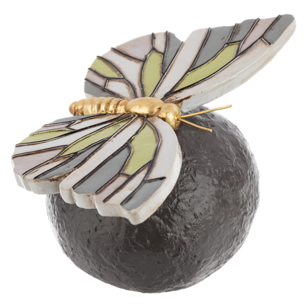 Insect on Garden Rocks