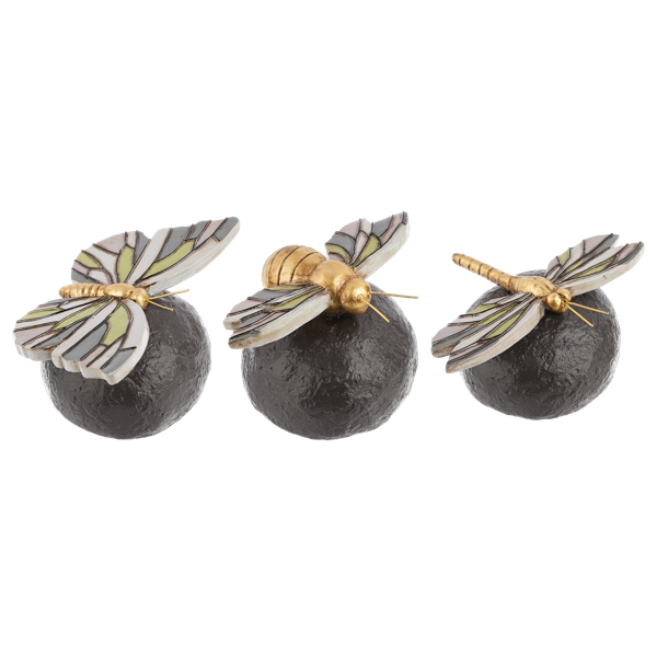 Insect on Garden Rocks