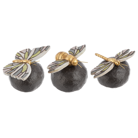 Insect on Garden Rocks