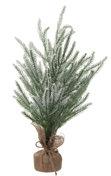 LED Light Up Frosted Pine in Burlap Bag