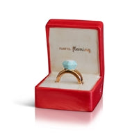 Nora Fleming Put a Ring On It (PREORDER)