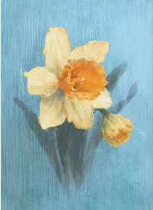 Spring Daffodil Easter Card