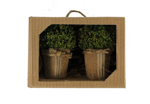 Set of 2 Boxwood Topiary In Pot