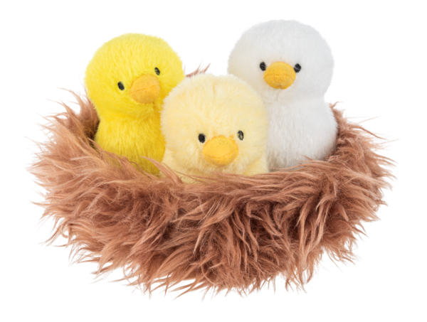 Nesting Chicks Learn & Grow