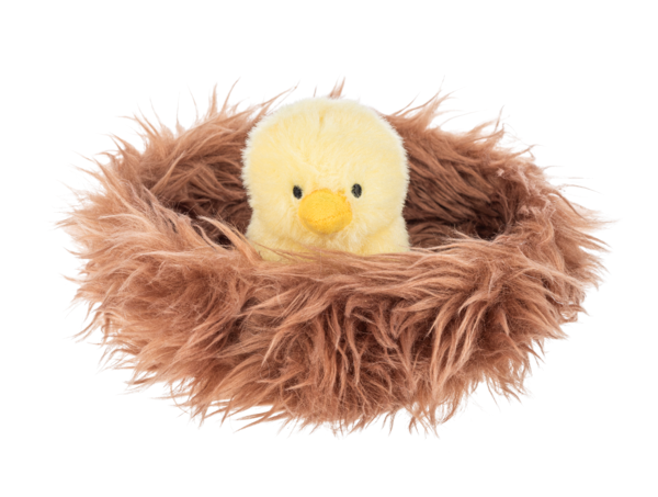Nesting Chicks Learn & Grow