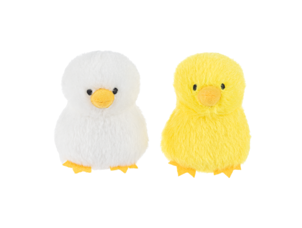 Nesting Chicks Learn & Grow