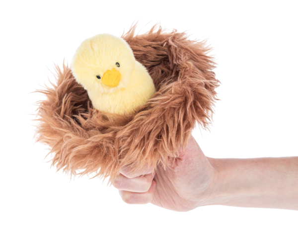 Nesting Chicks Learn & Grow