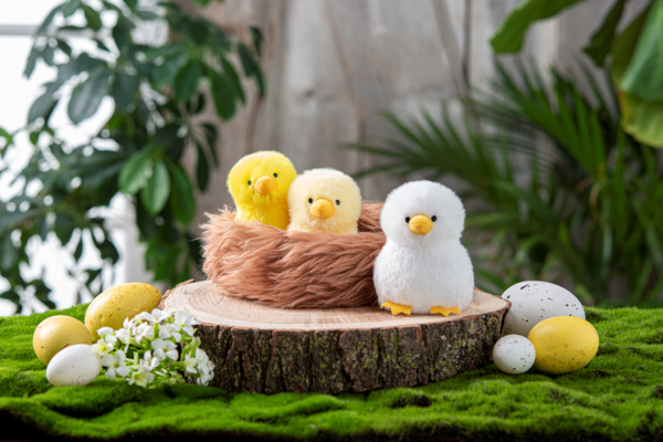 Nesting Chicks Learn & Grow