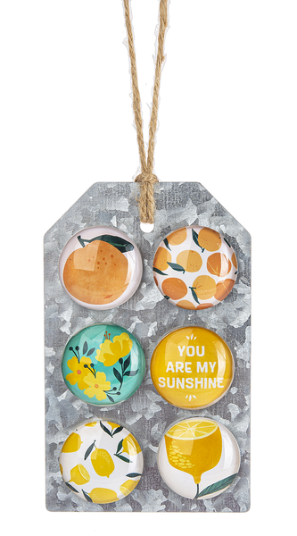 Fruit & Floral Magnet