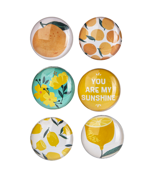 Fruit & Floral Magnet