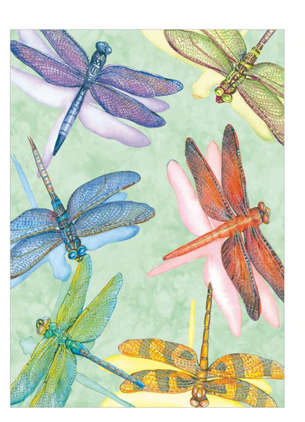 Dragonflies All Occasion Card