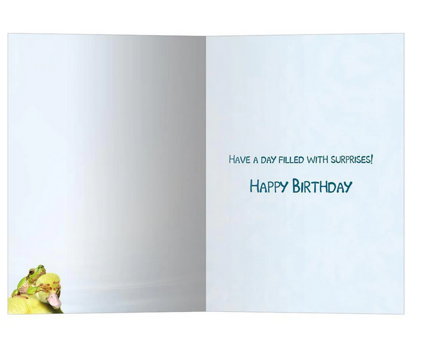 Duck Duck Frog Birthday Card