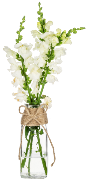 Jute Wrapped Bud Vase Set