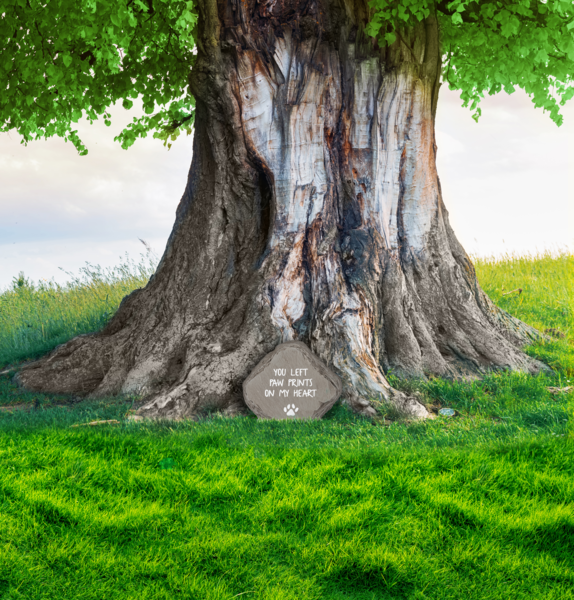 Pet Bereavement Markers