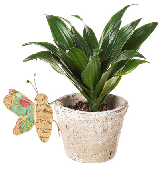 Floral Butterfly, Dragonfly & Bee Pot Sitters